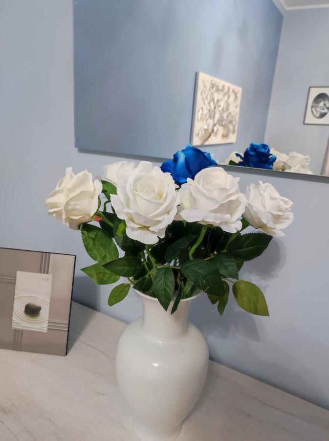 - Sweet - Lovely With Free Wifi Near Pala Alpitour And Olympic Stadium Turin